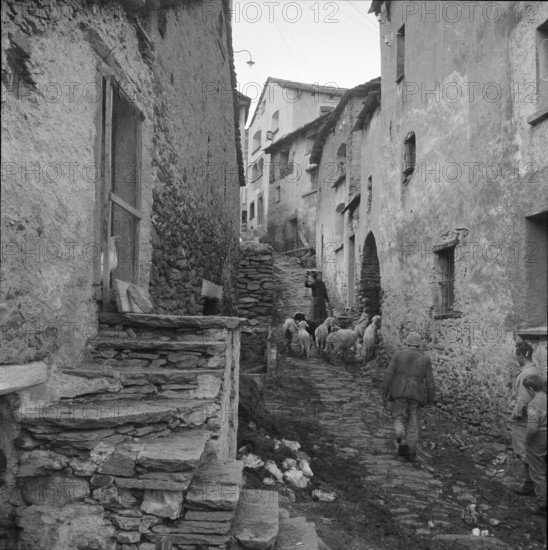 Woman with sheeps in Simplon-Dorf, 1960