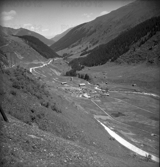 Selva completely burned down 1949