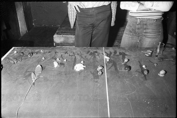 Snail race 1972