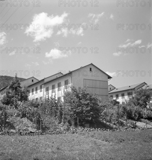 Row house with front garden, housing estate Friesenberg Zurich 1949