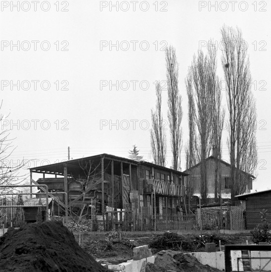 Housing shortage profiteer rents a chicken house as flat for a family, Geneva 1963