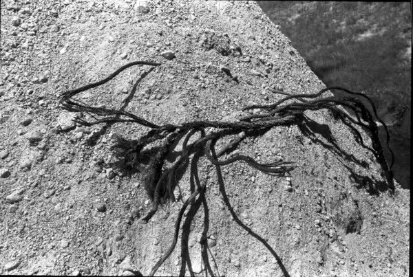 Cableway accident in Betten 1972