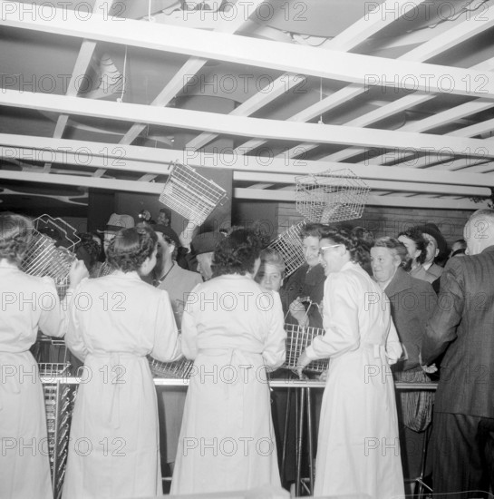 Zurich, opening of the Migros branch at the Limmatplatz 1952: customers pushing