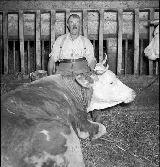 Farmer and cow in Bourgeaud VD 1950