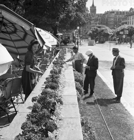 Jury members, Floral decoration contest in Geneva 1942
