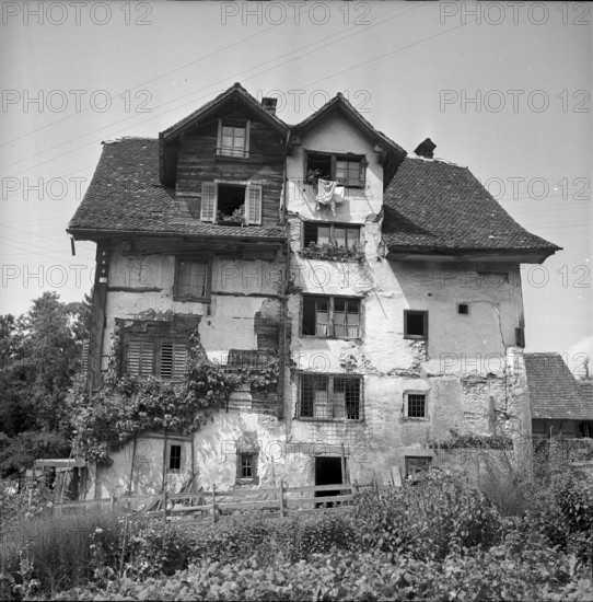 Kitchen garden in front of an old residential building in Schwyz 1952