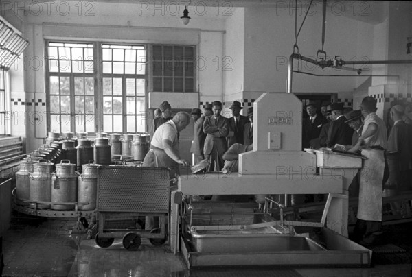 Workers in milk exploitation factory, 1944
