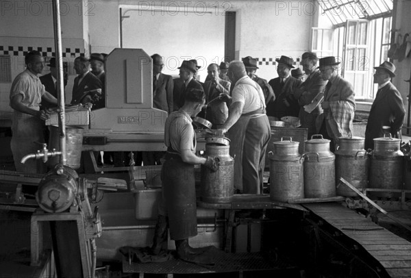 Workers in milk exploitation factory, 1944
