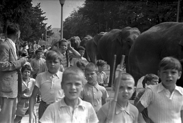 Children walking along with the parade of the elefants of Circus Knie through Zurich, 1944