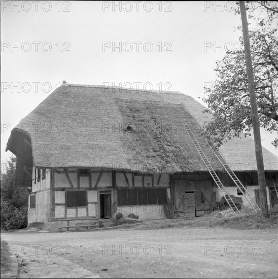 Thatched house in Huttikon ZH 1953