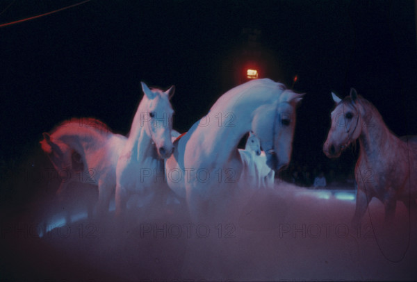 Circus Knie jubilee programme: celebration of 175 years of the dynasty and 60 years as official Swiss National Circus, 1978