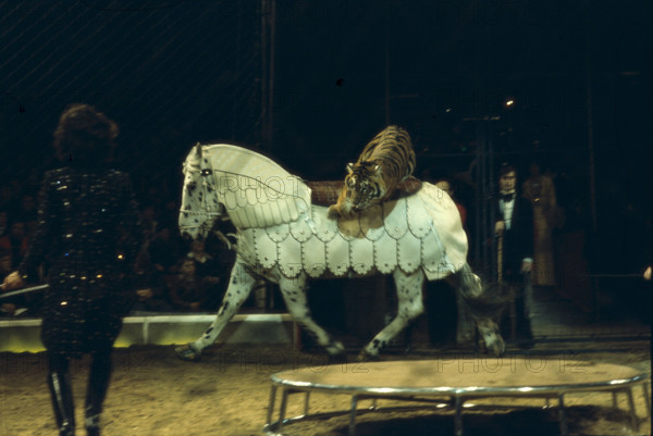 Circus Knie jubilee programme: celebration of 175 years of the dynasty and 60 years as official Swiss National Circus, 1978