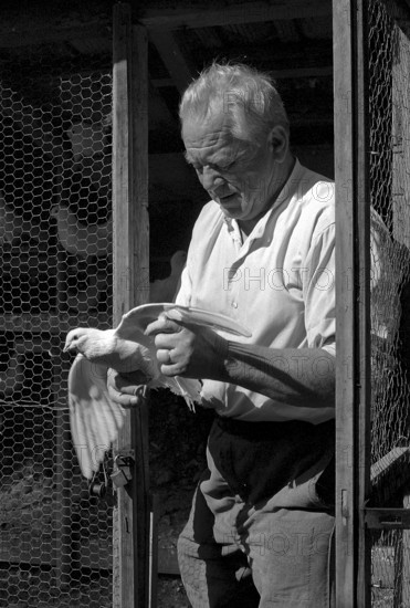 Schaggi Streuli with white dove, 1969