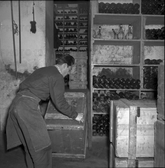 Basle, wine cellar, Hotel drei Konige 1954
