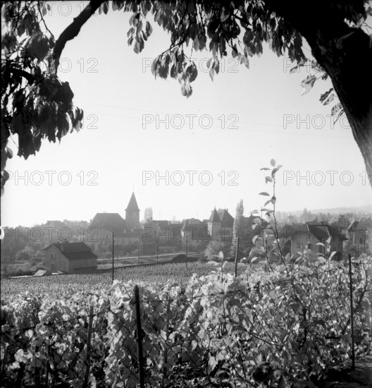 View onto the town Lutry, 1947