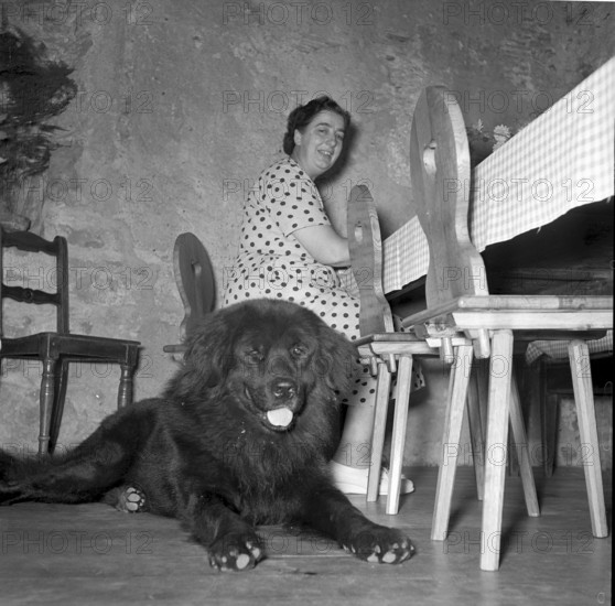 Mrs Mattenberger-Hummel, tenant of Habsburg Castle, 1952