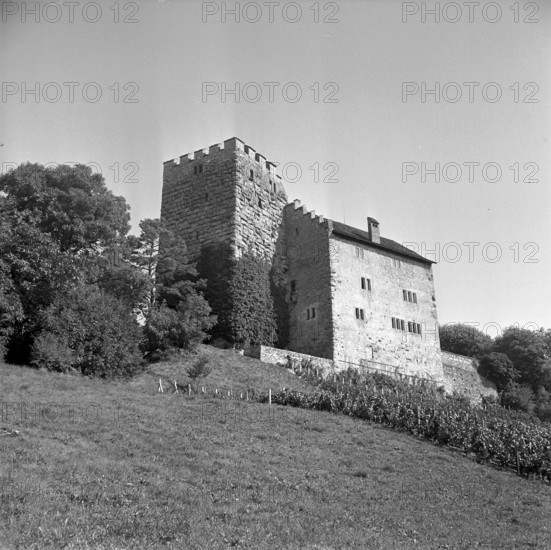 Habsburg Castle, 1952