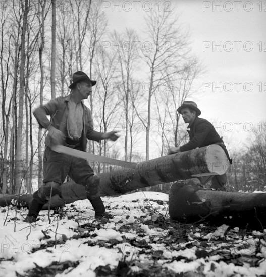 Course for lumberjack, Strickhgof Zurich 1941