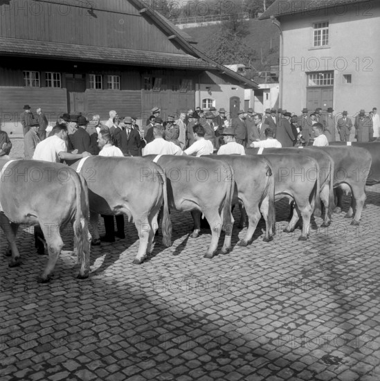 Maggi property in Kempthal 1960