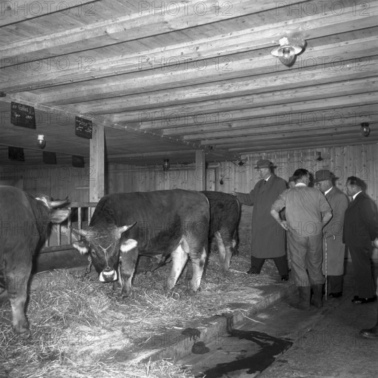 Theoretical examination at agriculture school Wulflingen, 1958