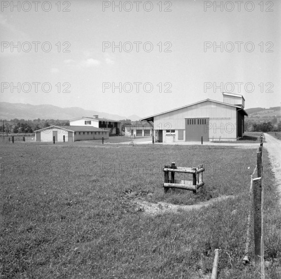 Doggen 7' at Linthebene vor Benken 1957