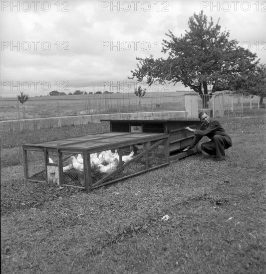Swiss school for poultry farming, Zollikofen 1945