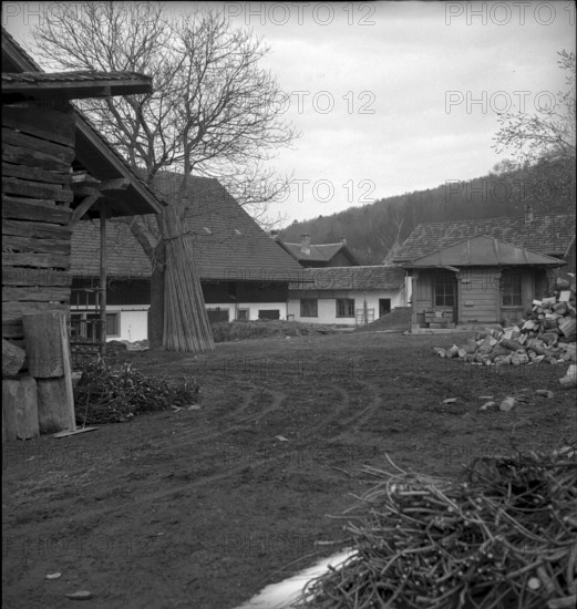 Agriculture school Strickhof, Zurich 1940