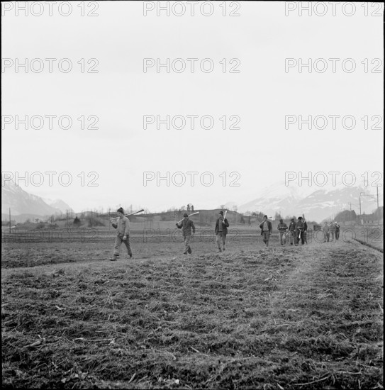 Plague of mice in Ruti, farmers on the way to distribute Surux rodenticide, around 1948