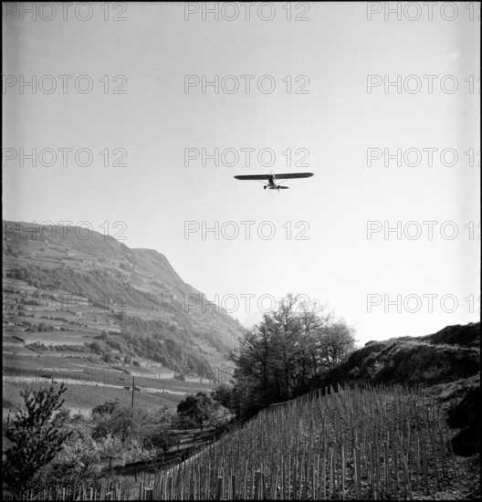 Insecticide DDT (Gesarol) spraying to combat cockchafers in Valais, 1950