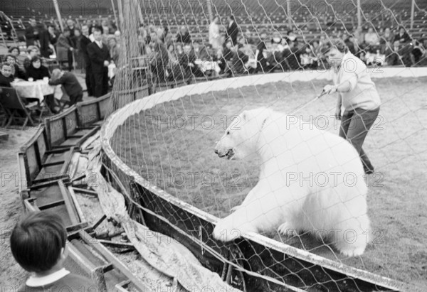 Liliane Daniels, tamer and ""Godt Haab"" 1965