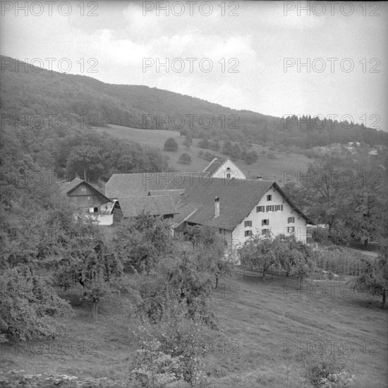 Farm belonging to Wildegg Castle, 1960