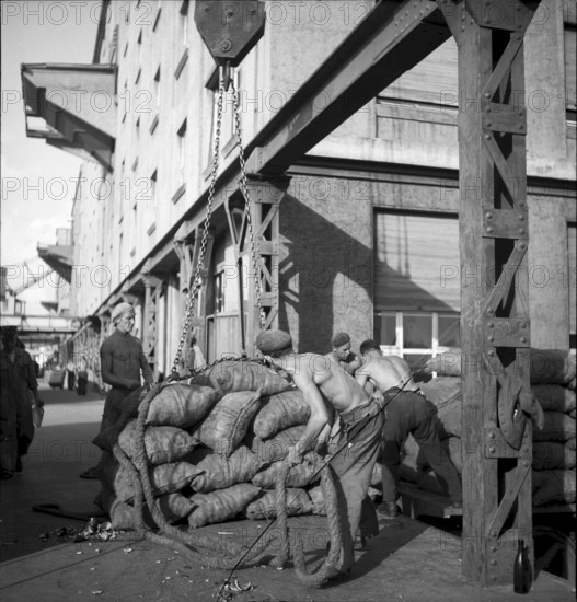 Dockers loading goods, Rhine port, Basle 1948