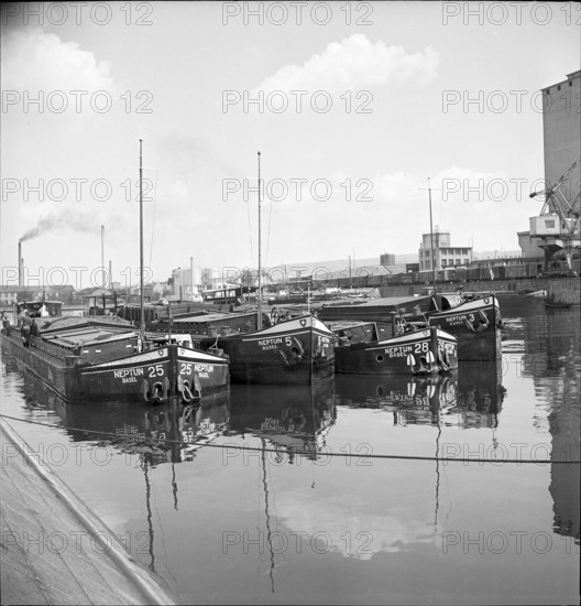 Fleet of the Neptung shipping company, Rhine port Basle 1950
