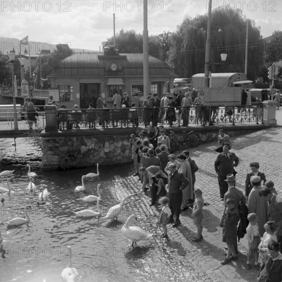 Feeding the swans at the Burkliplatz, Zurich 1955