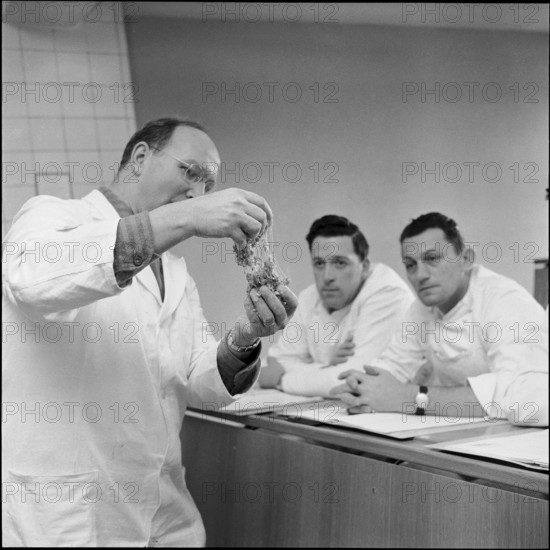 Course for making bread at technical college for baker, Lucerne 1958