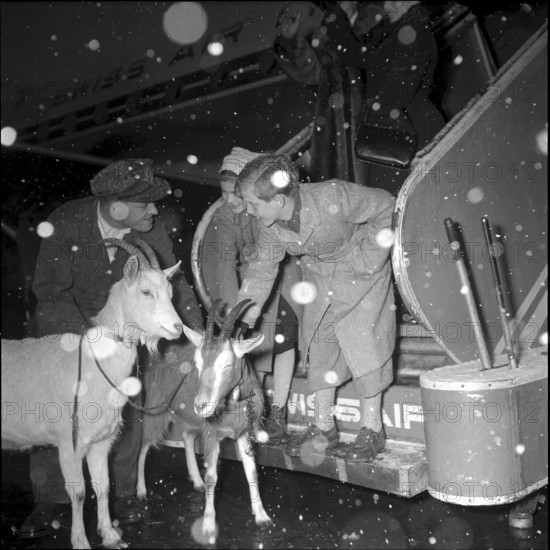 Heidi movie actors Elsbeth Sigmund and Thomas Klameth leave for the USA. 1953