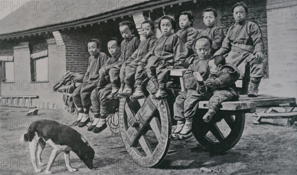 Chinese children on a bullock cart in Mukden Art album Manchuria Russo-Japanese War 1906