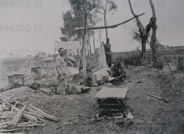 Preparing pig carcasses for the army Photo by Martynov
