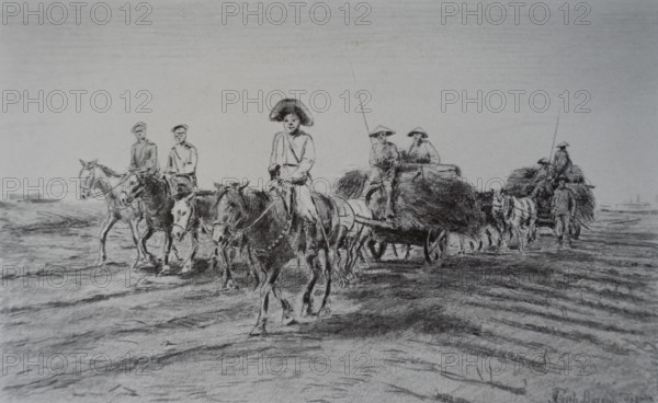 Transportation of fodder on carts Vitaly Tikhov (1876-1939)