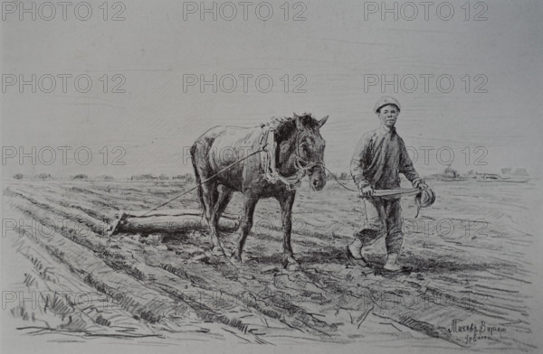 Cultivation of fields Vitaly Tikhov (1876-1939)