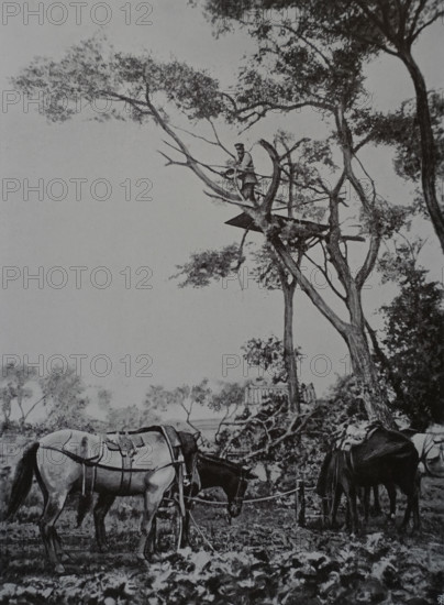 General Ivanov observes the battle at Liaoyang Photo by Gusev