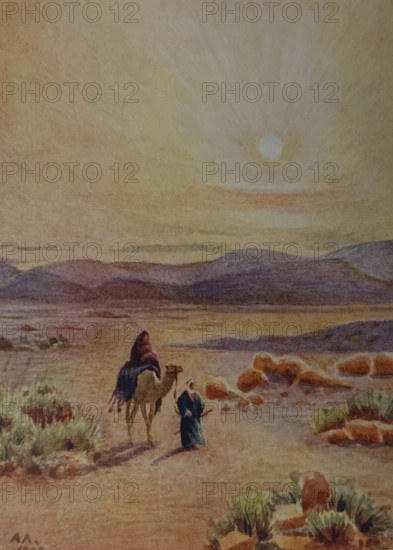 In the Libyan Desert Illustration from the book ""In the Land of Amon-Ra Essays on Egypt"" Author AN Lvov 1911