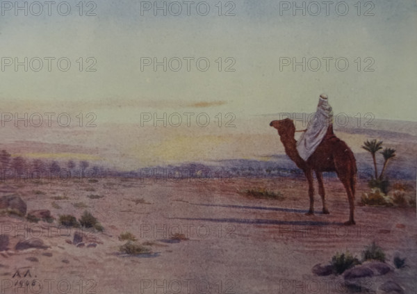 In the Arabian desert Illustration from the book ""In the Land of Amon-Ra Essays on Egypt"" Author AN Lvov 1911
