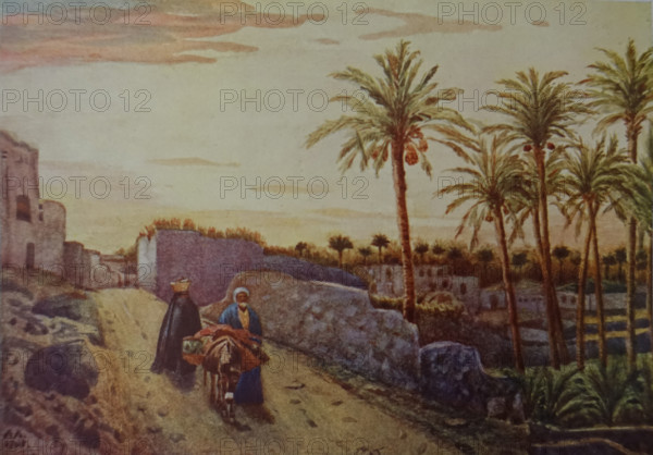 Abydos village Illustration from the book ""In the Land of Amon-Ra Essays on Egypt"" Author AN Lvov