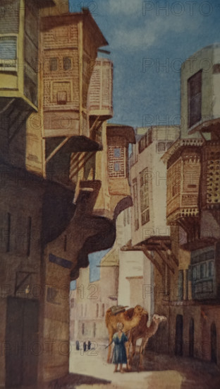 Musharabi harems in Cairo Illustration from the book ""In the Land of Amon-Ra Essays on Egypt"" Author AN Lvov 1911