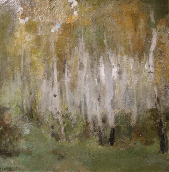 Birch trees First half of 1900 Nikolay Sapunov (1880-1912)