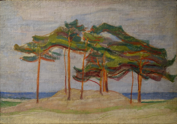 Pine Trees in the Dunes 1910 Mikhail Vasilyevich Matyushin (1861-1934)