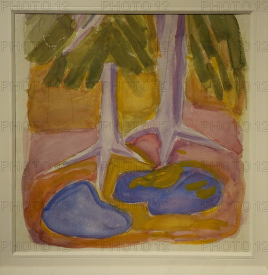 Roots 1912 Elena Genrikhovna Guro (1877-1913)