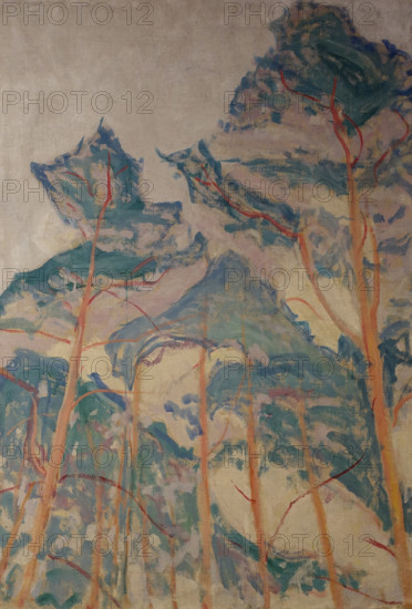 Pine Trees Oranienbaum 1911 Mikhail Vasilyevich Matyushin (1861-1934)