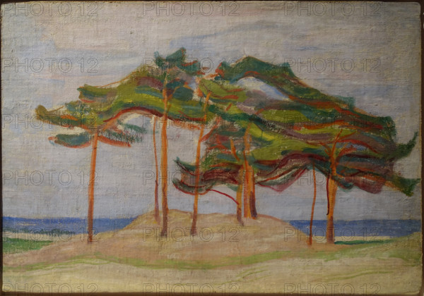 Pine Trees in the Dunes 1910 Mikhail Vasilyevich Matyushin (1861-1934)